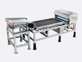 Conveyor type color sorter